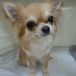 DSCN0092