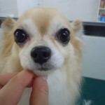 DSCN0096