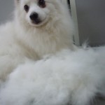 DSCN0226