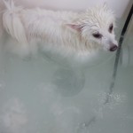 DSCN0231