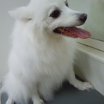 DSCN0234