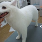 DSCN0236
