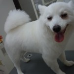 DSCN0237