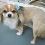 DSCN0243