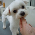 DSCN0268