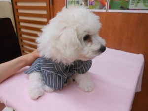 DSCN0596