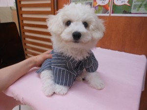 DSCN0600