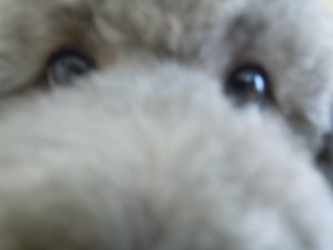 DSCN2767