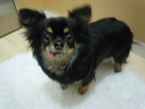 DSCN2915