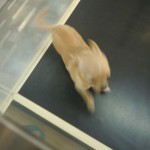 DSCN3065