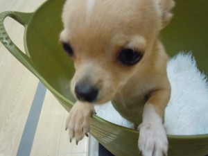 DSCN3146