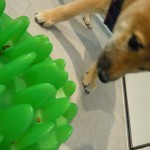 DSCN3186