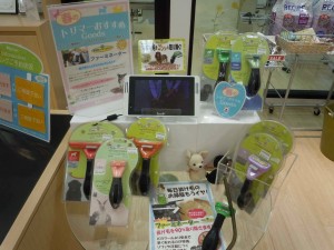 DSCN3206