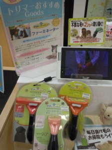 DSCN3207
