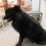 DSCN9485