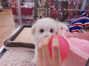 DSCN9918