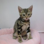 IMG_5755