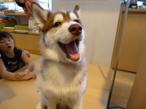 P1000032