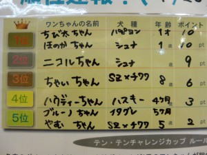 P1000110