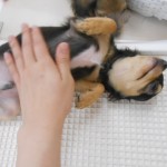 画像。, 022