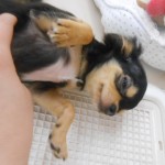画像。, 020