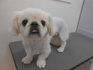 画像・・・ 012