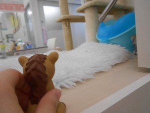 画像。, 062