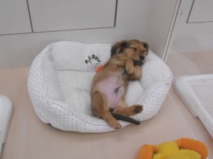 画像。, 003
