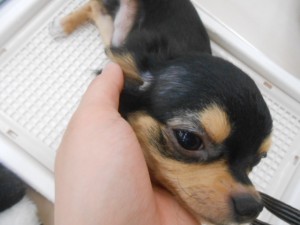 画像。, 023