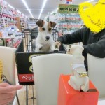 かん太くん4