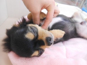 画像。, 014