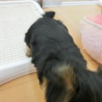 CIMG0024