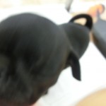 CIMG0045