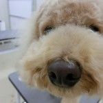 CIMG0215