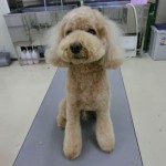 CIMG0223