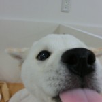 CIMG0499