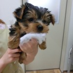 CIMG0509