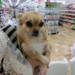 CIMG0579