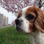 DSC02700