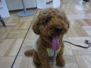 DSC02702