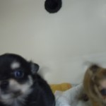 DSCN0056