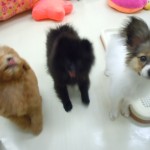 DSCN0280
