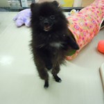 DSCN0292
