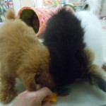 DSCN0302