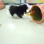 DSCN0304