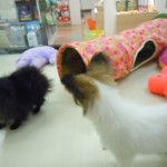 DSCN0312