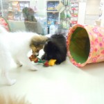 DSCN0316