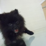DSCN0332