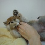 DSCN0407
