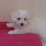 DSCN0880